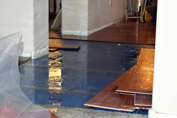 Professional Basement Flooding technician working in Paxton, MA